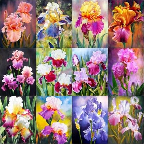 CHENISTORY 40x50cm Paint By Number Iris Flower Drawing On Canvas Acrylic Handpainted Wall Art Pictures By Number Gift Home Decor