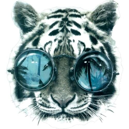 NEW Leopard Sunglasses Patches Combination Iron On Patches Diy Applique For T-shirt clothes Washable Environmentally Friendly St