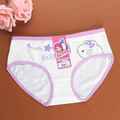 New Arrive Girls Teenager Students Cotton Breathable Cartoon Rabbit Pattern Panties Intimates Underwear Briefs FS0545
