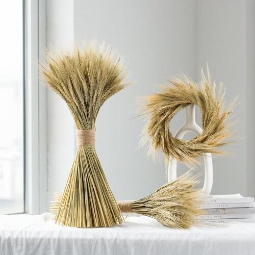 100PCS Wheat Natural Dried Flowers Bouquet Artificial Plants Branch INS Pampas Grass Fake Flower Wedding Home Garden Decoration