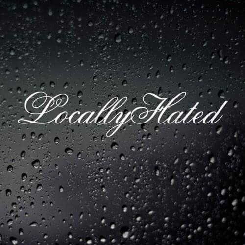 Black/Sliver Locally Hated Modified JDM Car Sticker Small/Big Size Removable Waterproof Window Body Decal CL680