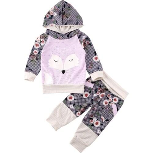 Fall Autumn Newborn Baby Girl Clothes Long Sleeve Fox Fower Print Hooded Spring Outfit Set 0-24 Months