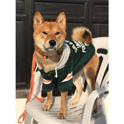 Dachshund Cute Pet Clothes Big Dog Hoodie Winter Dog Clothes for Small Dogs Yorkshire Terrier Hoodies Puppy Clothes Pet Supplies