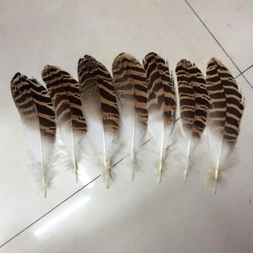 Natural color 2015 eagle feathers a set of wholesale and retail ball ornament