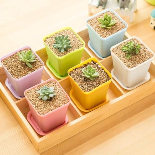 Mini Colorful Flowerpot Plastic Succulent Tabletop Potted Plant Succulent with Tray Office Decor