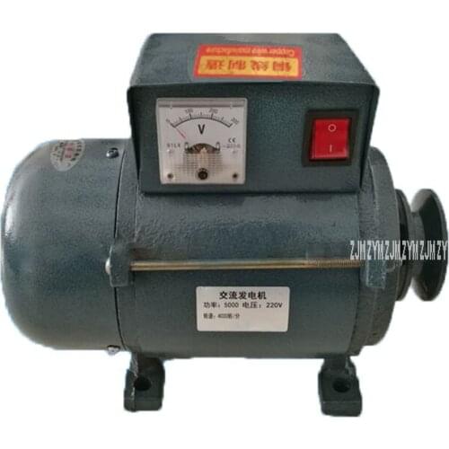 Pure Copper Permanent Magnet Alternator Belt Pulley Type Small Generator Household Lighting Generator 2800-4000r/min 1000W 220V