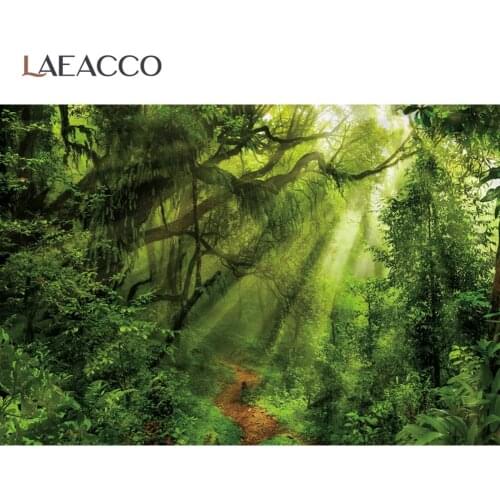 Laeacco Jungle Backdrops For Photography Forest Tree Green Shrub Moss Sunshine Mystery Scenic Photo Background For Photo Studio