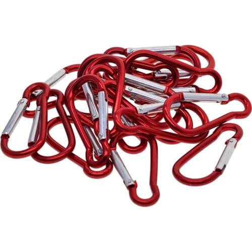 20 Pieces D Shape Aluminum Carabiner Spring Clips Snap Hooks Buckle for Home, Camping, Fishing, Hiking, Traveling and Keychain