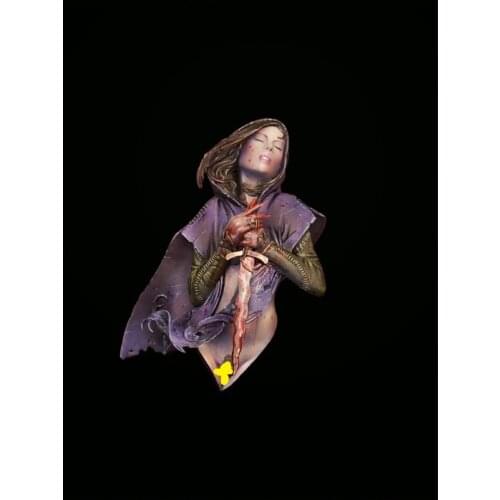 Resin kit X-100 soul sacrifice fantasy beauty bust