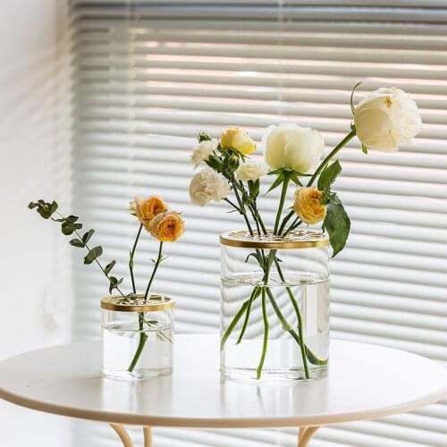 Europe Round Mini Glass Vase Transparent Hydroponic Bottle Container Green Dill Flower Pot Homes Decoration Accessories