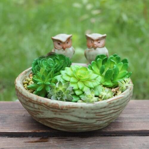 Ornamental Horticu Flower Pot Ceramic European Bird Feeder Creative Large Bird Fleshy Flower Pot Home Fruit Pot Arrangement