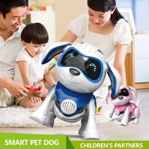 HeLIC Max Interactive Toys