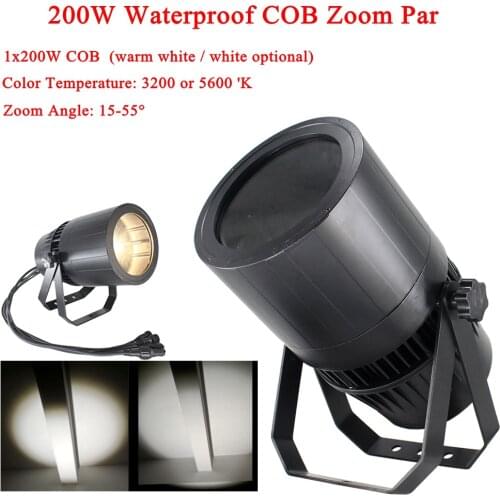 Professional Stage Light IP65 Waterproof Zoom COB LED Par Light 250W Warm White/ Cold White COB PAR LED Outdoor Led Par Light