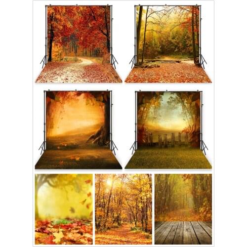Autumn Forest Photography Background Natural Landscrape Halloween Birthday Baby Shower Photo Backdrops Newborns Kids Studio Prop