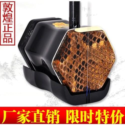 Chinese Dunhunag Erhu Traditional Professional Stringed Musical Instrument 2-string Violin Fiddle with case & Accessories