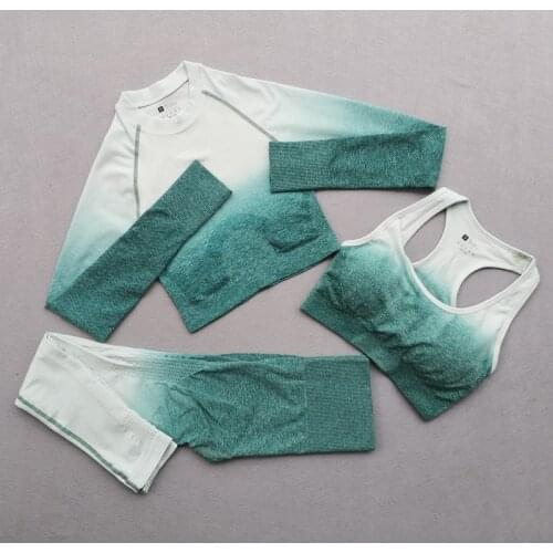 2/3PCS Ombre Seamless Yoga Set High Waist Leggings Sport Bra Long Sleeve Crop Top Women Running Gym Clothing Fitness Sports Suit