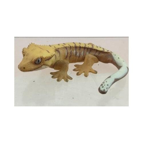 Pvc figure Doll model toyLizard Gecko Shougou Kissing Erotic Reptile Model