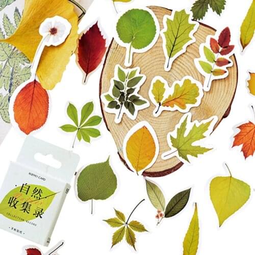 20packs/lot Natural Collection Record Diy Leaf Stickers Decoration Adhesive Stickers Diary Sticker Scrapbook Kawaii Stickers