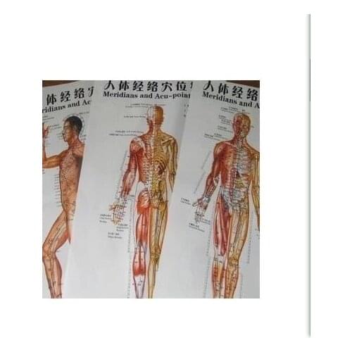 3pcs/sets Human Meridian Acupuncture Point Health Therapy Medical Massage Acupuncture Acupoints Map In Chinese-English
