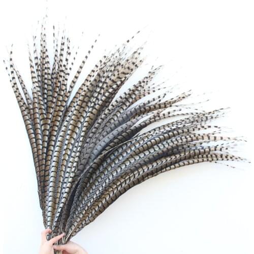 Wholesale 90-100CM/36-40 Inch Natural Lady Amherst Pheasant tail Feathers Jewelry Wedding Decorations Pheasant Feather Plume