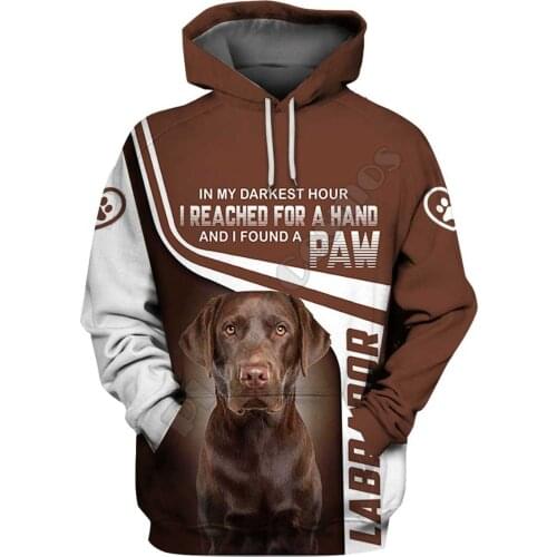 Labrador 3D Hoodies Printed Pullover Men For Women Funny Sweatshirts Sweater Animal Hoodies Drop Shipping 18