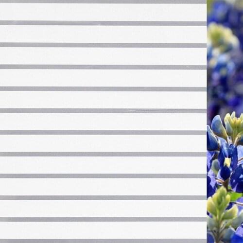 Beibehang Glue-free European window light opaque glass film electrostatic paste bathroom living room sliding door glass film