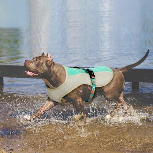 Summer Dog Cooling Vest Coat Jacket For Dogs Adjustable Pet Mesh Reflective Vest Cooler Jacket Harnesses Quick Release Pet dog
