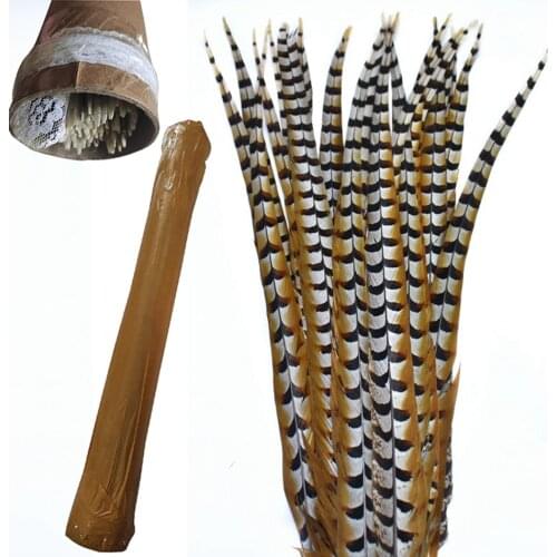 10/50 Pcs/Lot Wholesale Reeves Pheasant Feathers Plume Party Wedding Decoration natural Long Feathers Crafts DIY Plumas 10-180cm