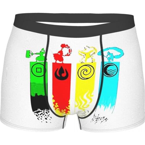 Animal Avatar The Last Airbender Katara Aang Sokka Zuko Animated TV Series Underpants Homme Panties Male Underwear
