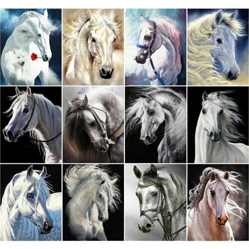 AZQSD DIY Painting By Number Canvas Kits Hrose Handmade Gift 40x50cm Pictures By Numbers Animal Home Living Room Art Craft