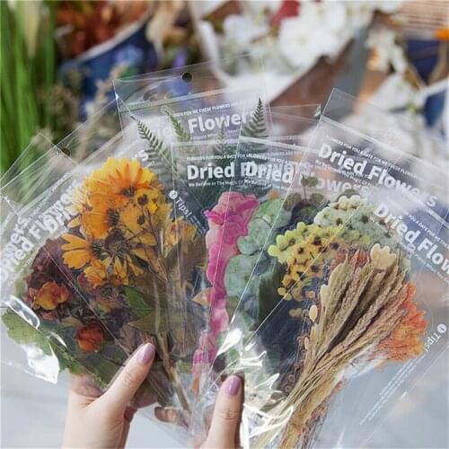 Window Hand Account Sticker Paper Stickers Weekend Deco Flowers Scrapbooking Stylization Diary Candy Deco DIY Album Stationery