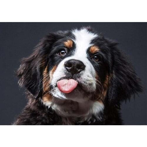 Lovely 5D Diy Diamond Painting Animal dog 3D Diamond Mosaic Full Square/round Diamond Embroidery Christmas home decoration TY865