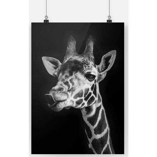 Wild Cool Giraffe Animal Poster Canvas Painting Wall Art Decor Living Room Bedroom Study Home Decoration Prints