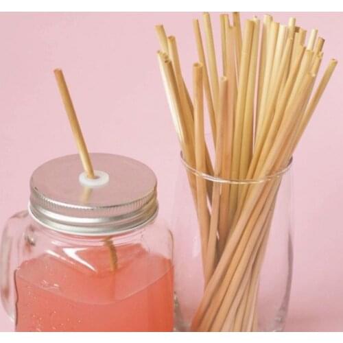 All Natural Wheat Drinking Straws 20cm Eco-friendly Biodegradable Disposable Wheat Straw for Bar Cocktail Milk Drinks Accessory