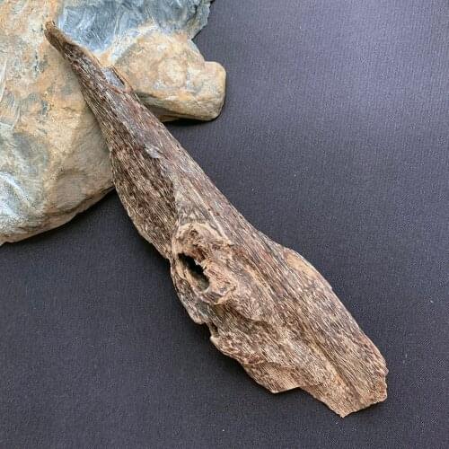 26.4g Authentic Natural Chinese HaiNan oudh wood Rich oil old home fragrances incense decor treasure