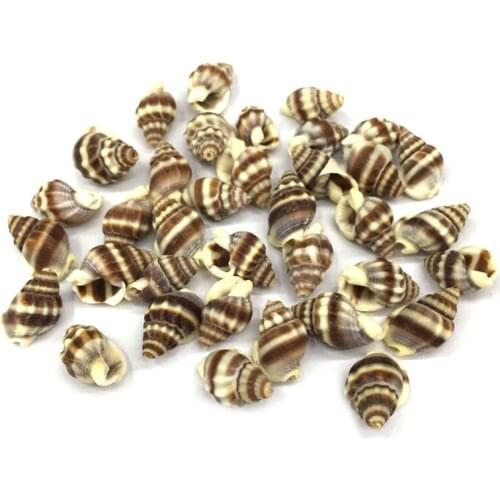 Natural shell fashion conch Pendants Charms Necklace pendant for Jewelry Making DIY Bracelet Necklaces Accessories Size 12x20mm