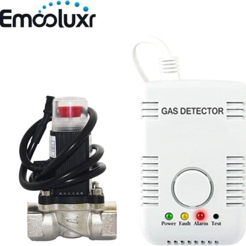 Factory Price Gas Leaking Detection System Alarm to Shut Off Solenoid Valves Home Gas Stop Safety Valve DN15