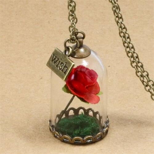 Beauty and the Beast Necklace Rose Dried Flowers Glass Necklace for Women Red Roses Wish the Little Prince Pendant Necklace