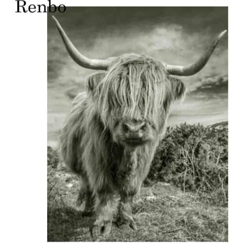 5D Diamond Painting Scottish Highland Cow Picture Full Square Drill DIY Diamond Embroidery Mosaic Animal Rhinestone Decoration