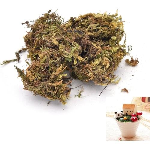 Искусственные растения ZMONH China At AliExpress