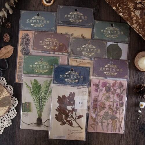 Vintage Prehistory of plant Series junkJournal Decorative Stationery Stickers Scrapbooking DIY Diary Album Retro Stick Lable