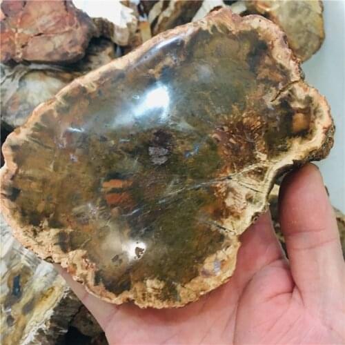 200-280g natural crystal Petrified wood piece ore specimens for decorative collection