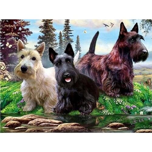 5d diy diamond painting Scottish terrier full square round diamond embroidery dog rhinestone mosaic pattern home decoration CV42