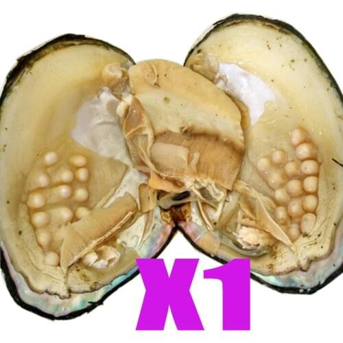 100% Natural Real Pearls in Oyster Monster Jewelry Gifts Shell Wish Pearl Oyster Vacuum-packed 3-9mm Randomly Color/ShapedABH641