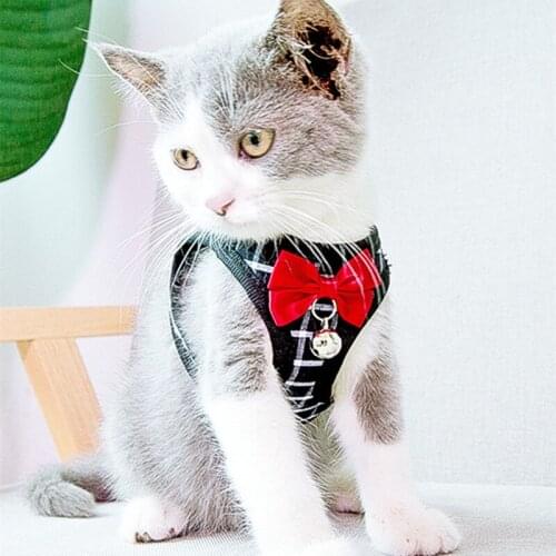 SHISHI Collars For Cats