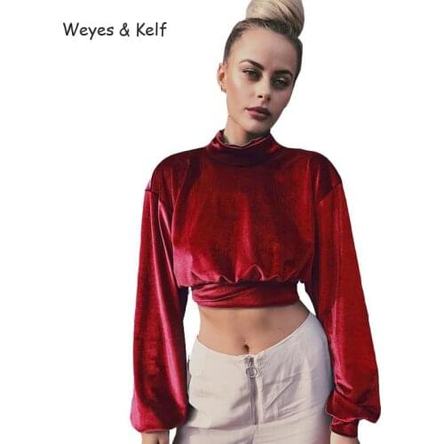 Weyes & Kelf Casual Spring Turtleneck Velvet Sweatshirt Women 2020 Long Sleeve Sexy Sweatshirt Tracksuit Women