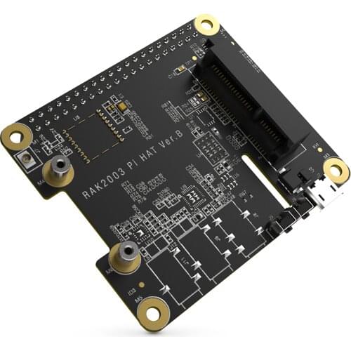 RAK2287 Pi HAT | RAKwireless