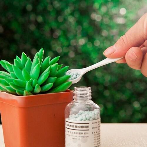 Succulent slow release fertilizer Flower fertilizer Slow-release fertilizer General Garden Organic Fertilizer