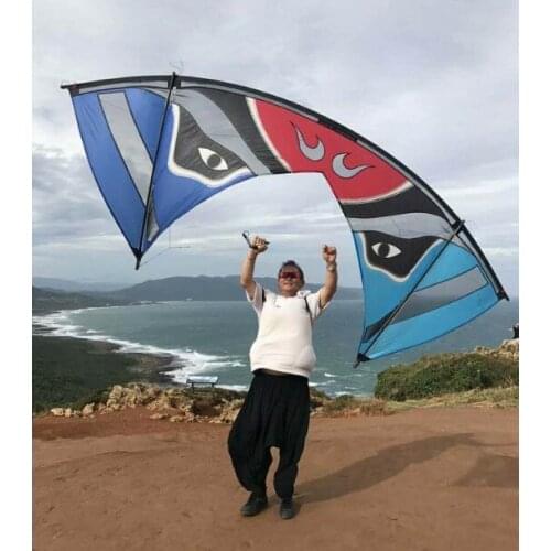 Strong wind version four-line glasses kite