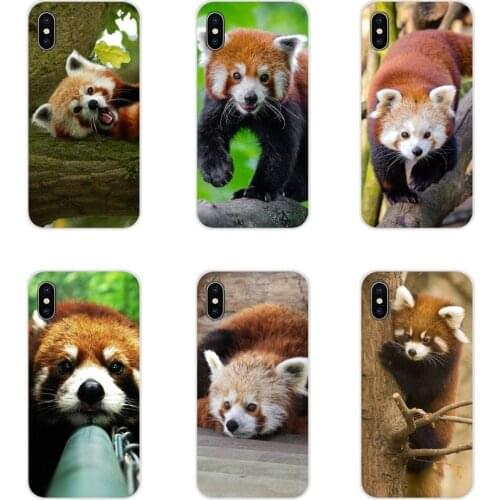 For Apple iPhone X XR XS 11Pro MAX 4S 5S 5C SE 6S 7 8 Plus ipod touch 5 6 Red pandas Art Accessories Phone Cases Covers